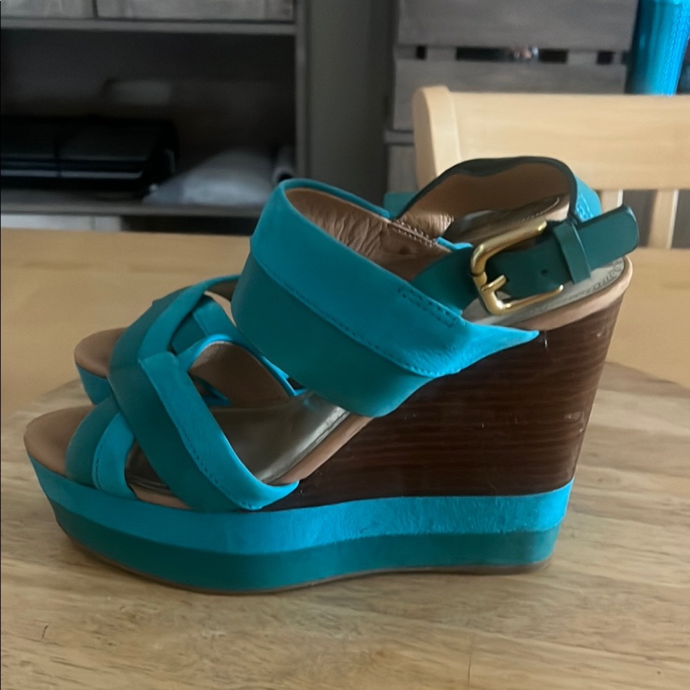 Stylish Teal Wedge Sandals